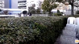 [精品推荐] 合租性伴侣